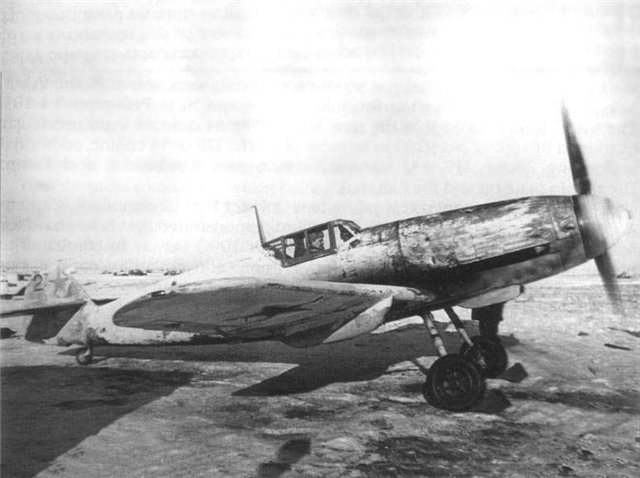 nem-sam-04.JPG