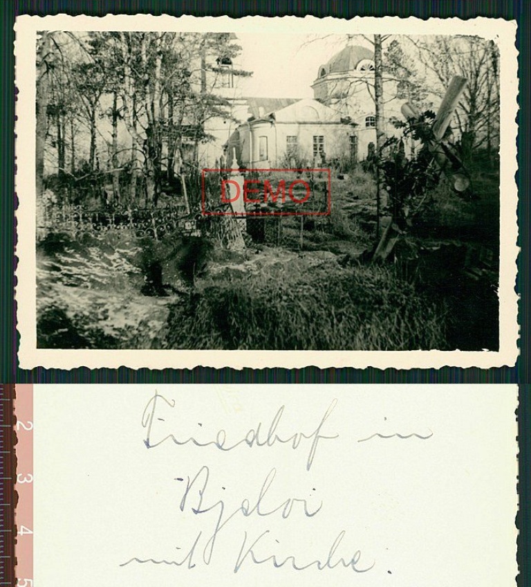 1235.jpg
