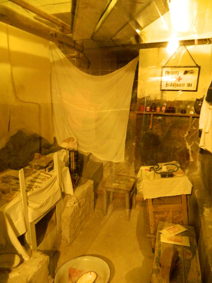 DSCN7949.jpg