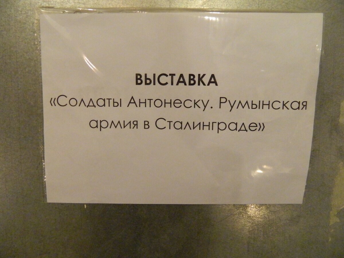 DSCN7952.jpg