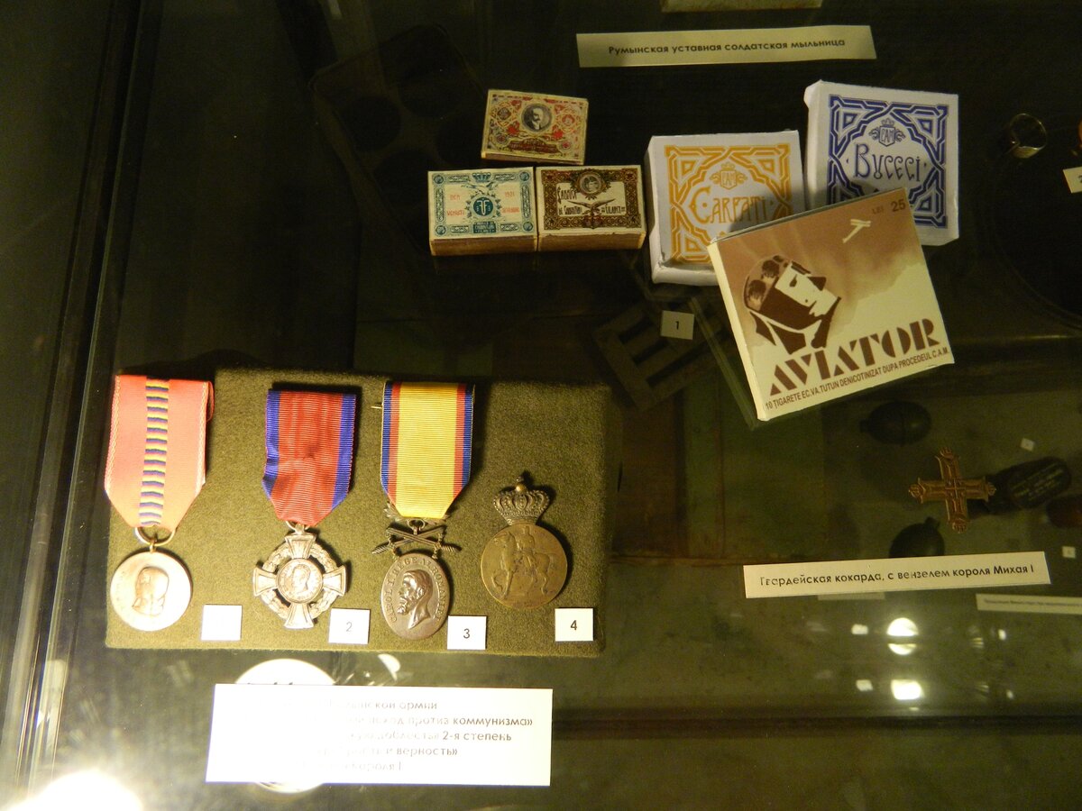 DSCN7954.jpg