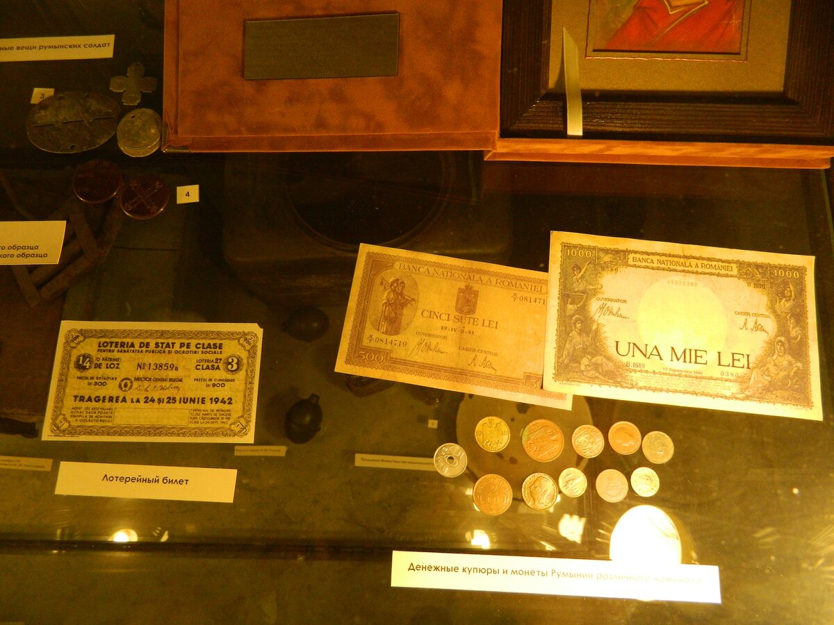 DSCN7955.jpg