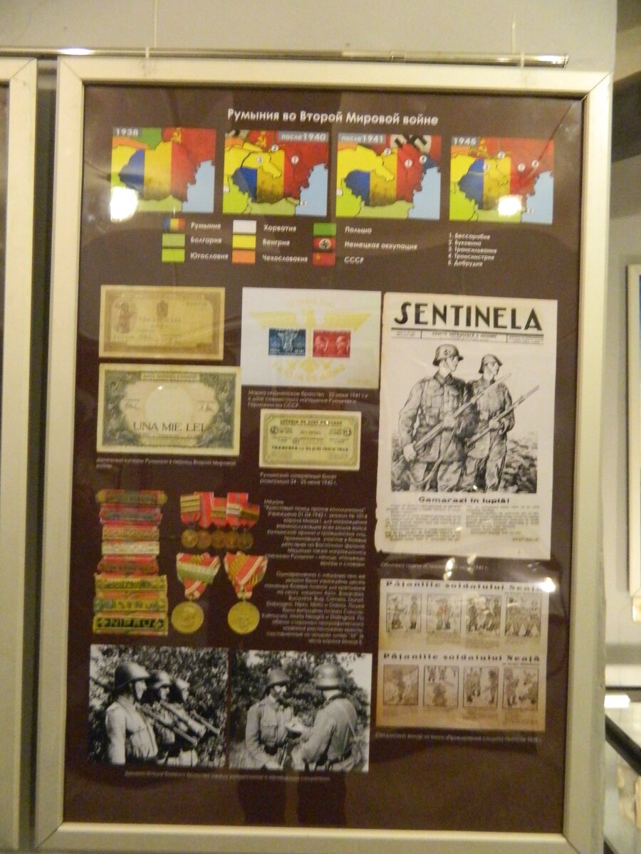 DSCN7959.jpg