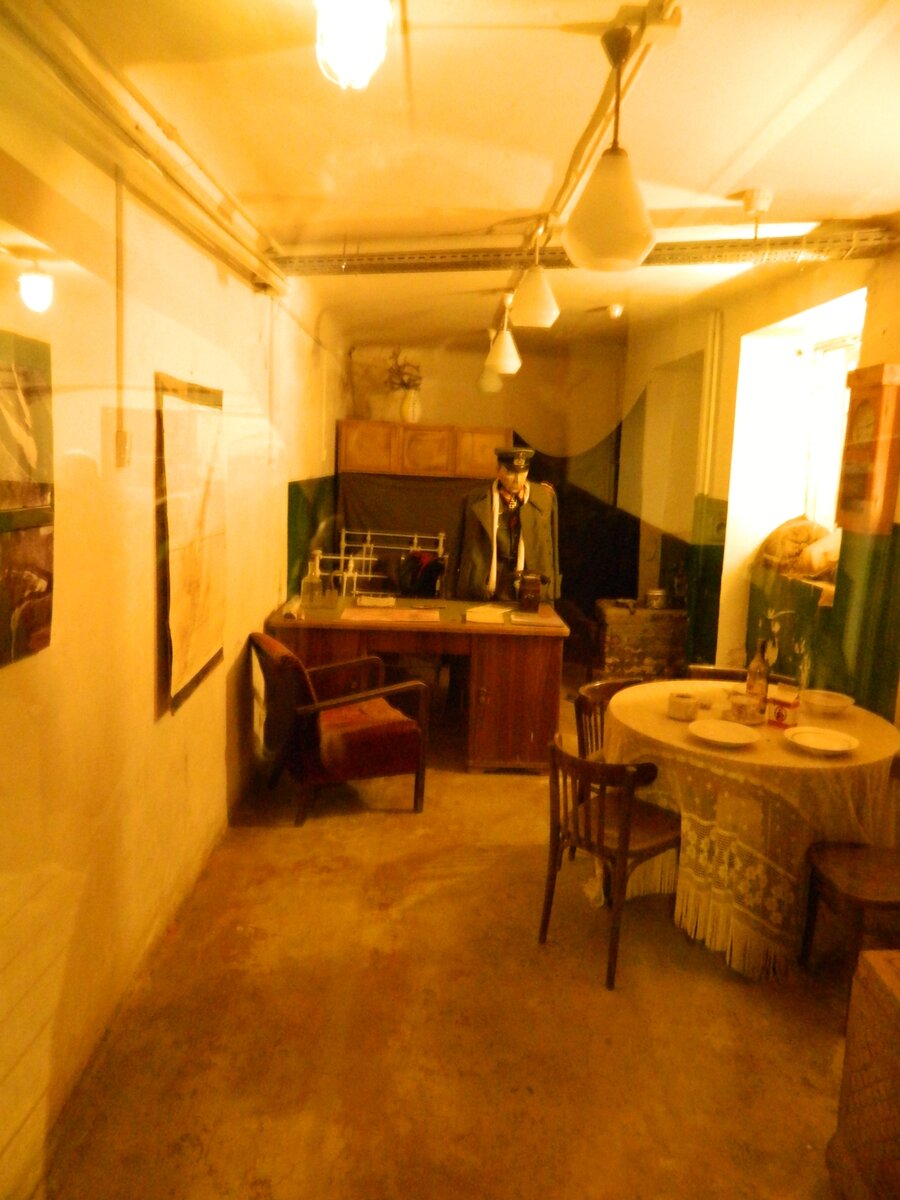 DSCN7983.jpg