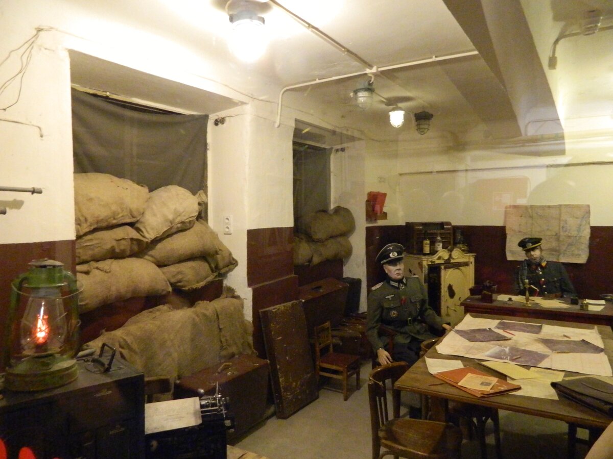 DSCN7989.jpg