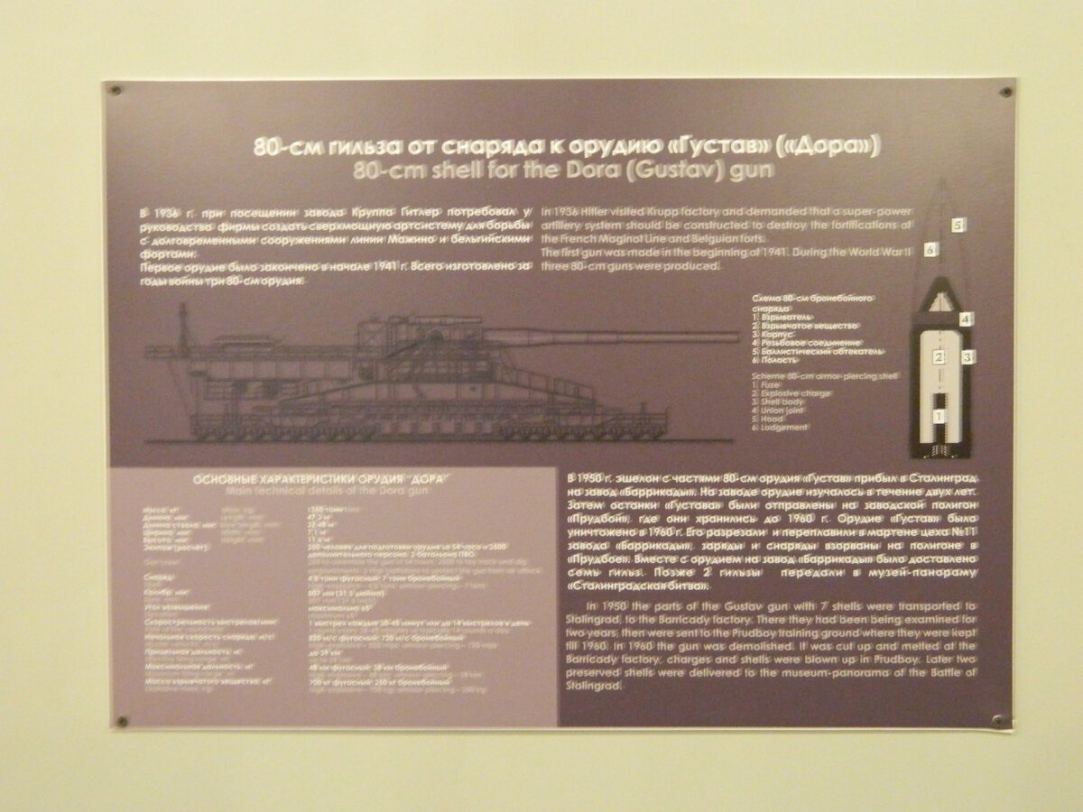 DSCN7993.jpg
