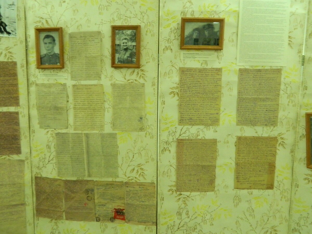 DSCN7902.jpg