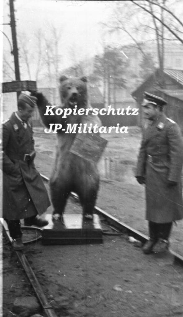 1000.jpg
