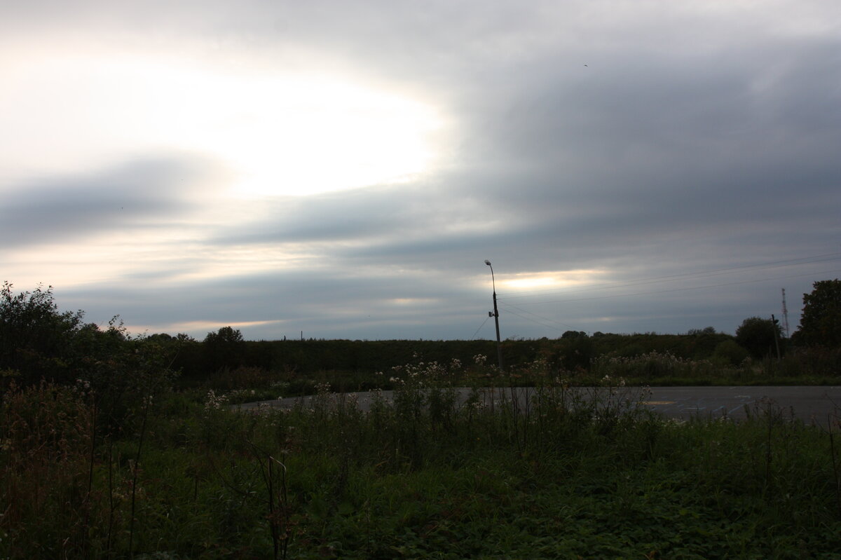 IMG_6778.JPG