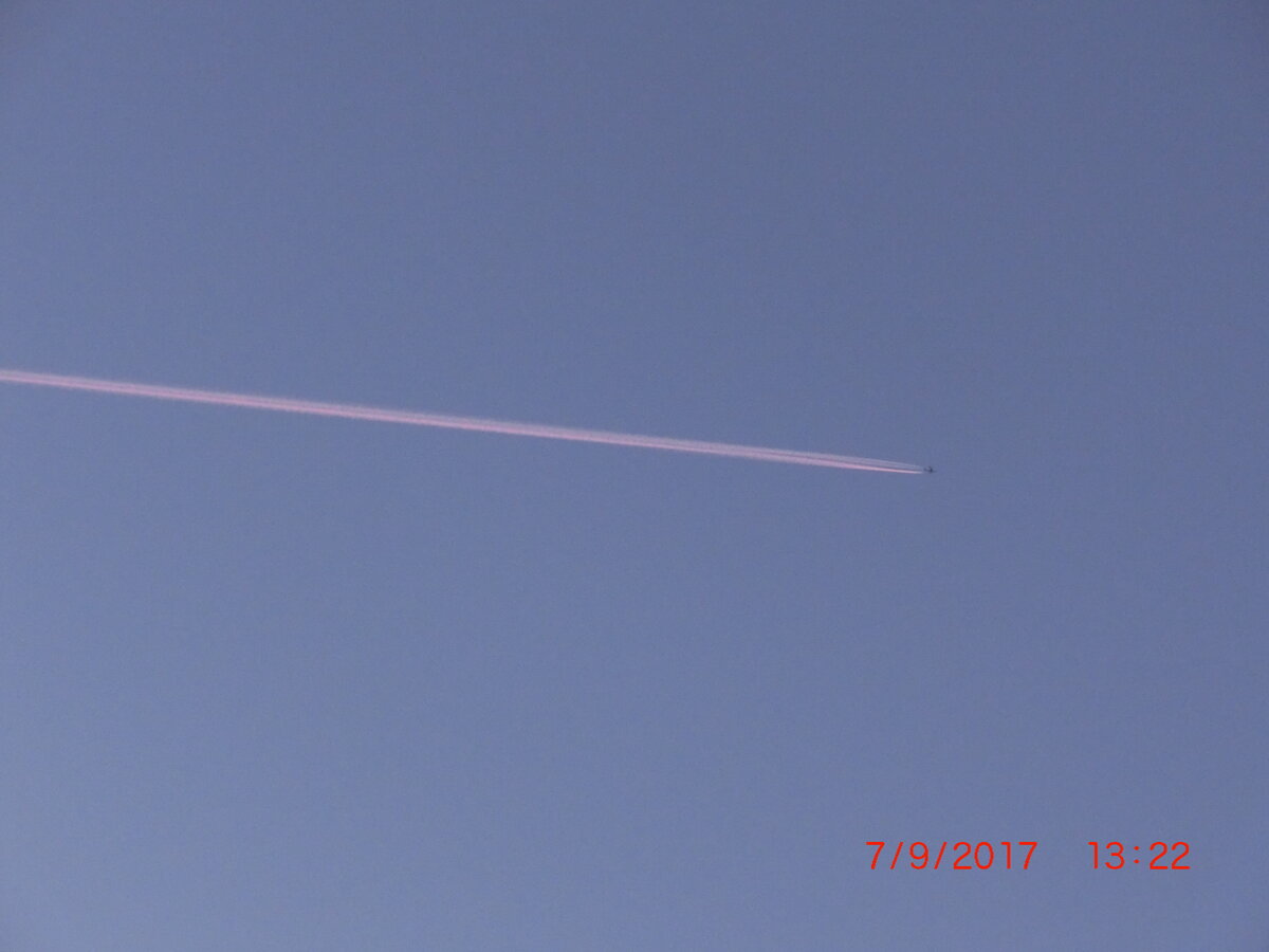CIMG8576.JPG
