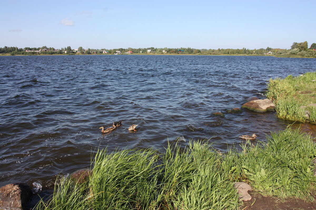 IMG_6479.JPG