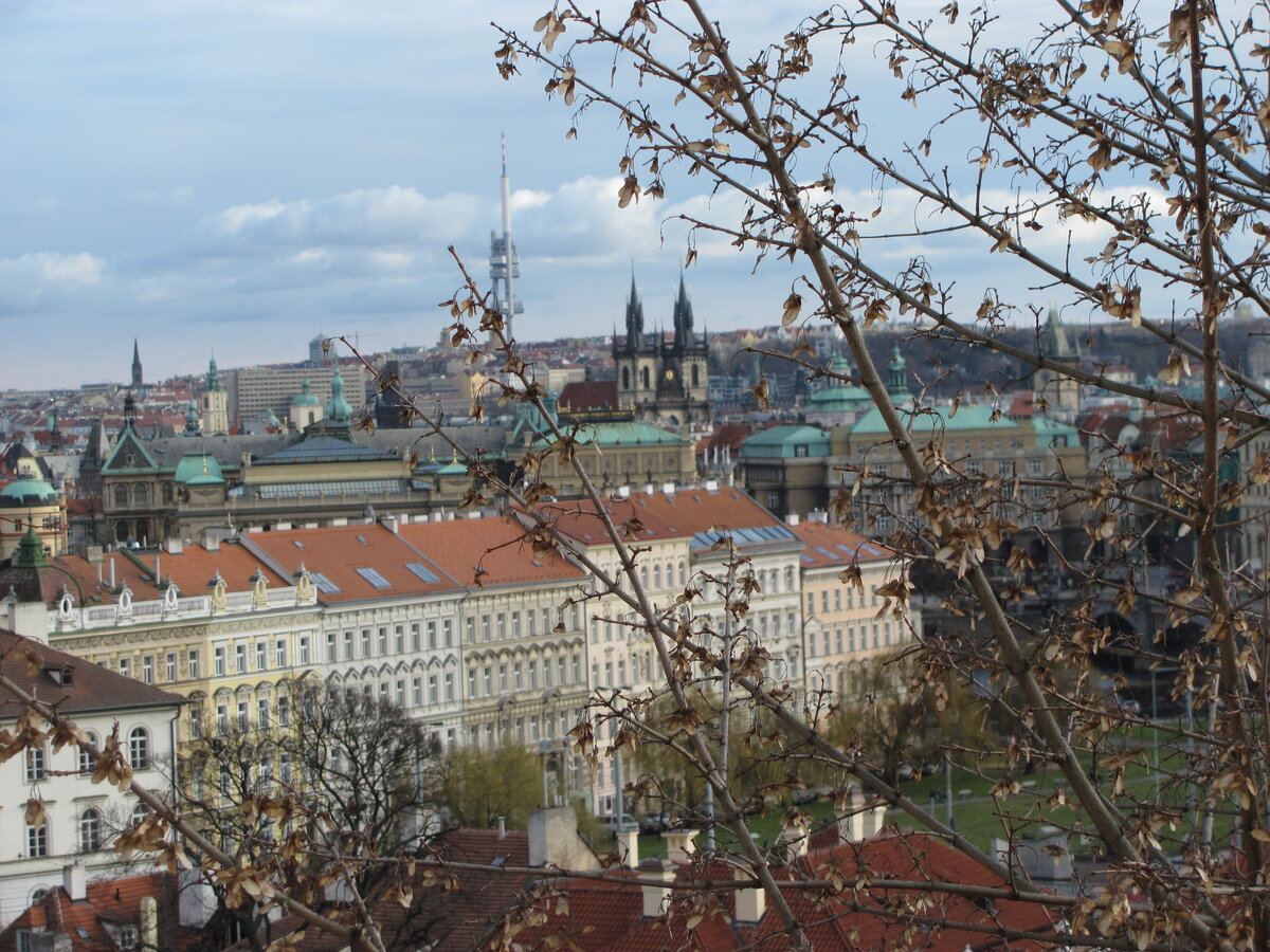IMG_5807.JPG