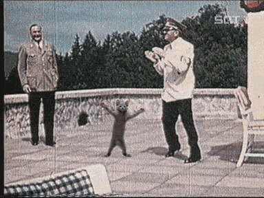 06a593b87b0c.gif