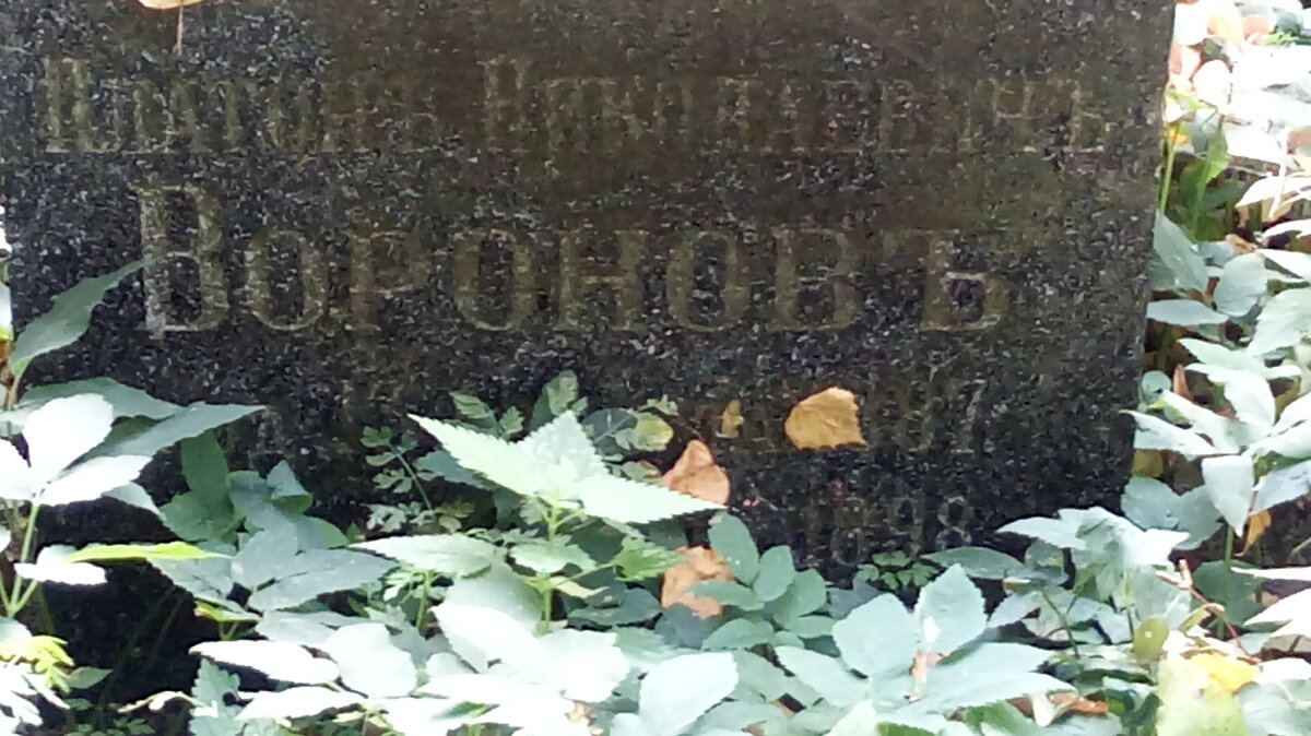 20170928_102827.jpg