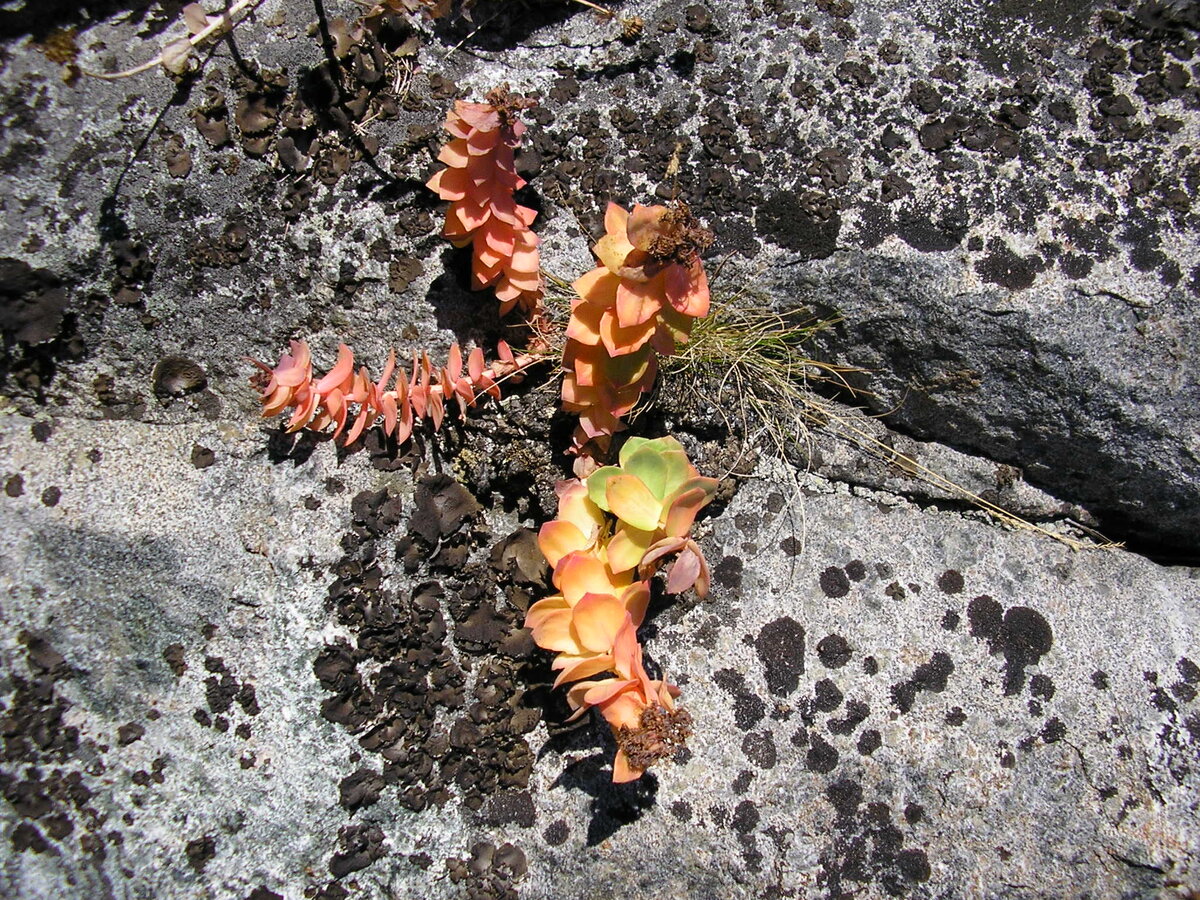 P1010084.JPG