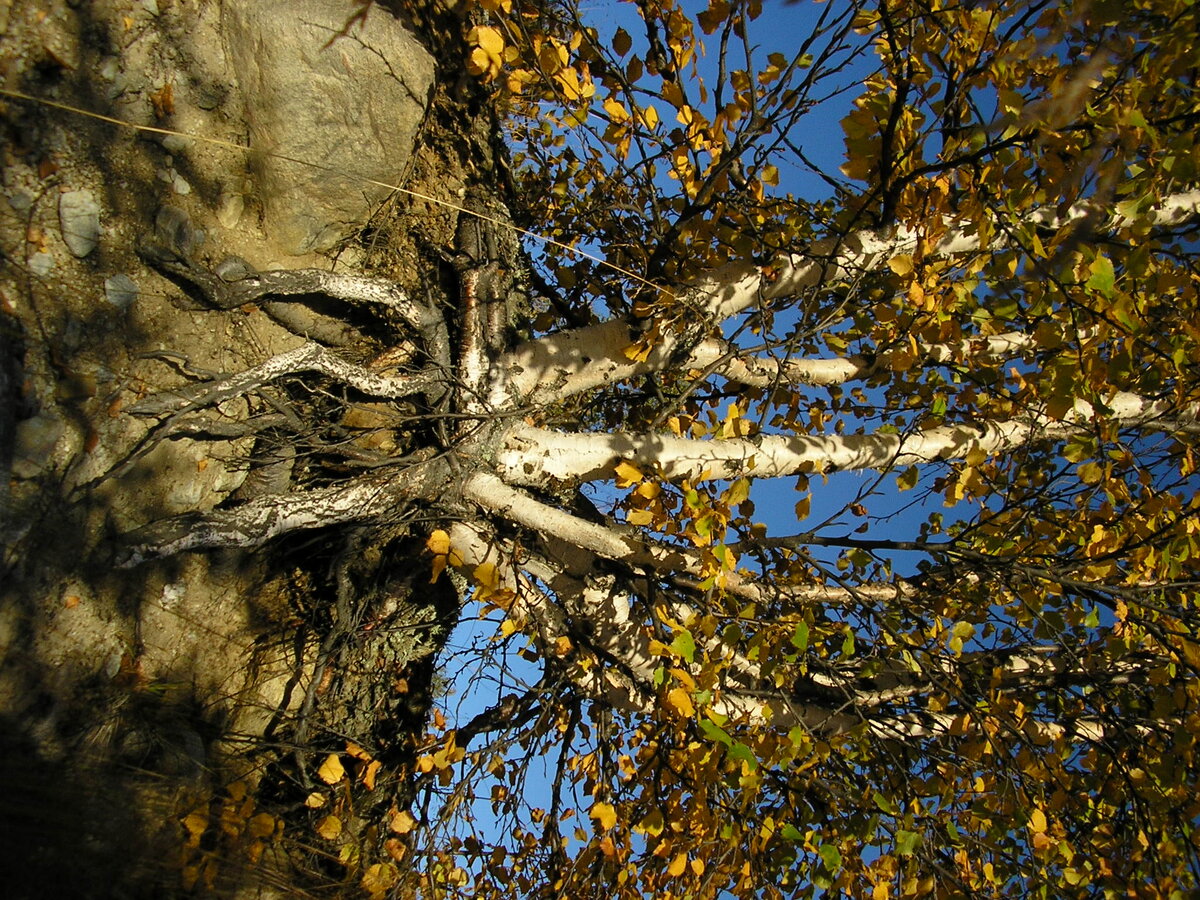 P1010047.JPG
