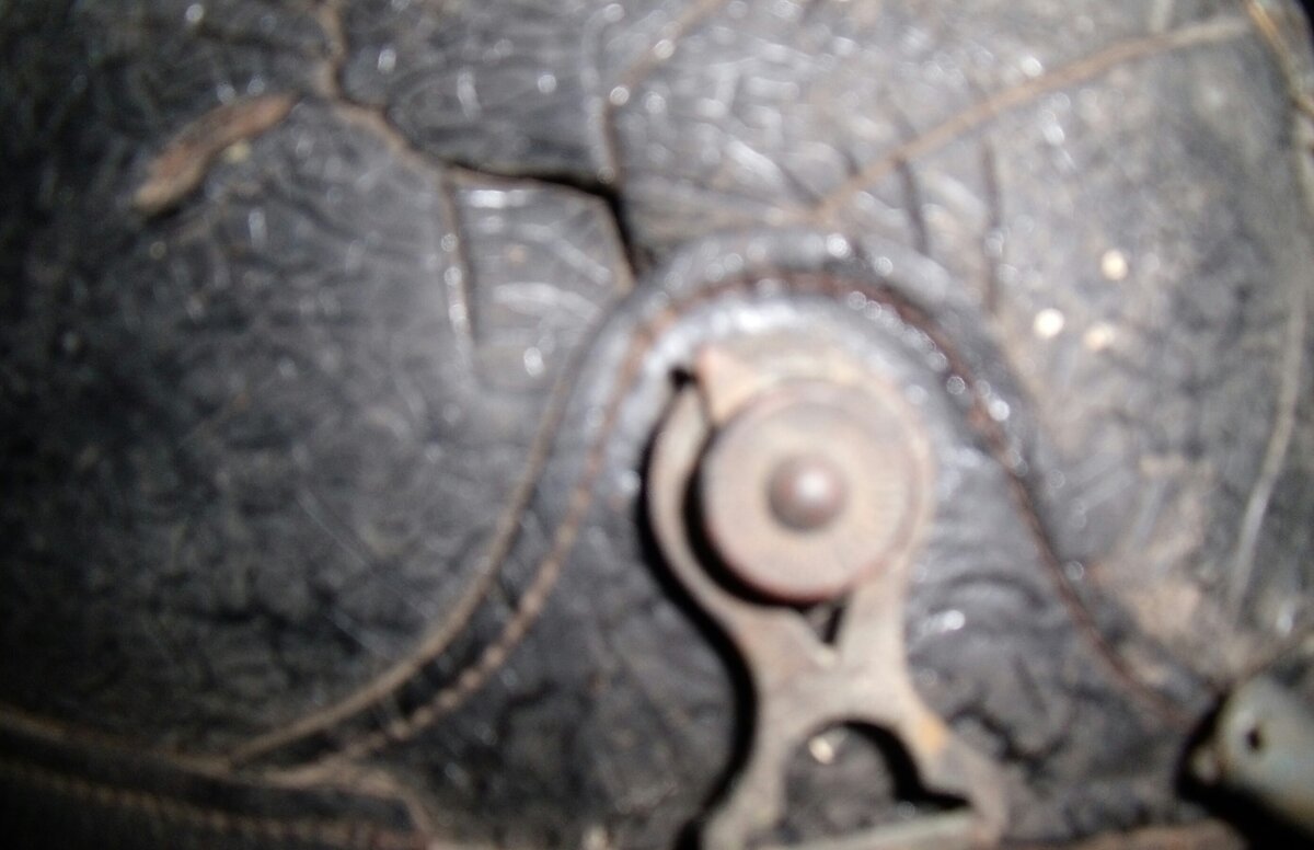 GEDC0067-1.jpg