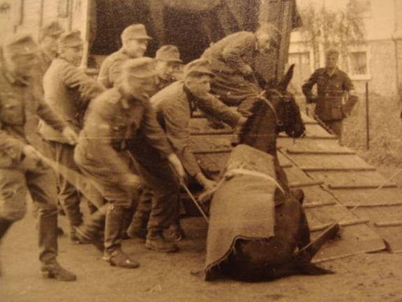 31мулл ).jpg