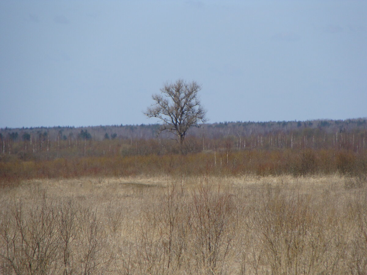 DSC00946.JPG
