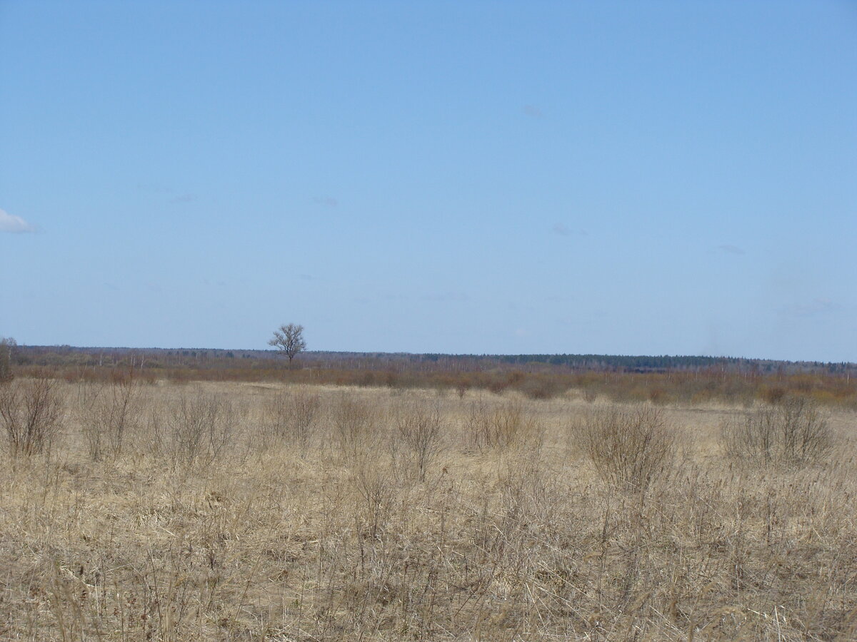 DSC00945.JPG