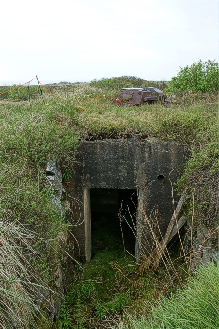 aasen-tank12.jpg