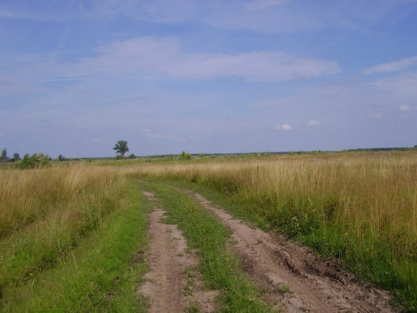 qD6912sb9FI.jpg