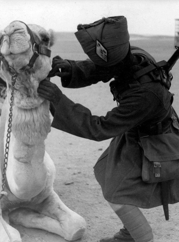 0_ m Солдат-араб британской армии с верблюдом в Ливане. 1941.jpg
