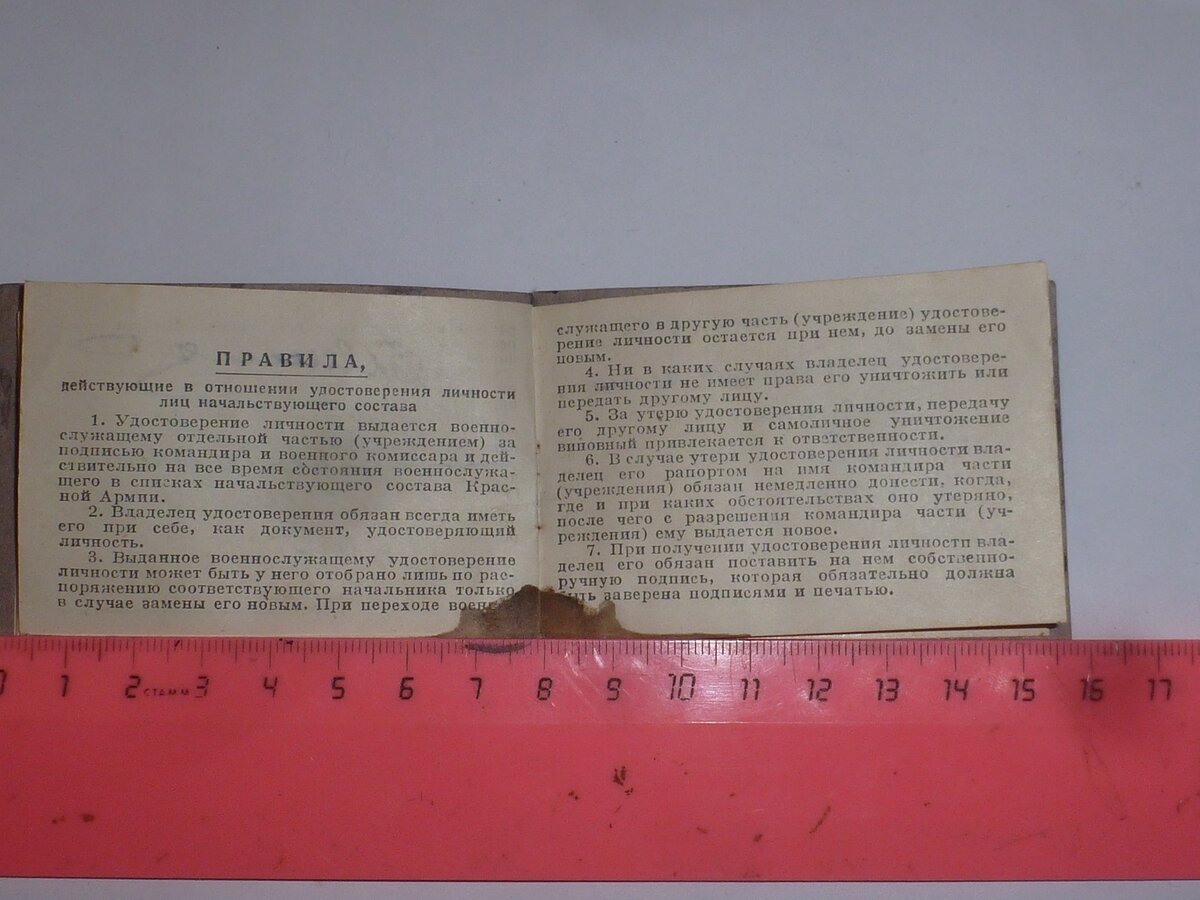P1510031.JPG