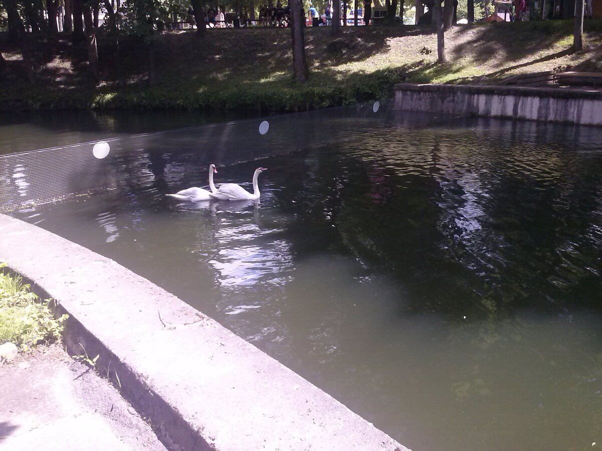 CAM00190.jpg