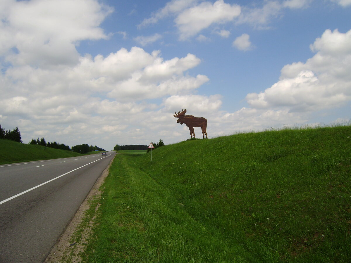 P4210324.JPG