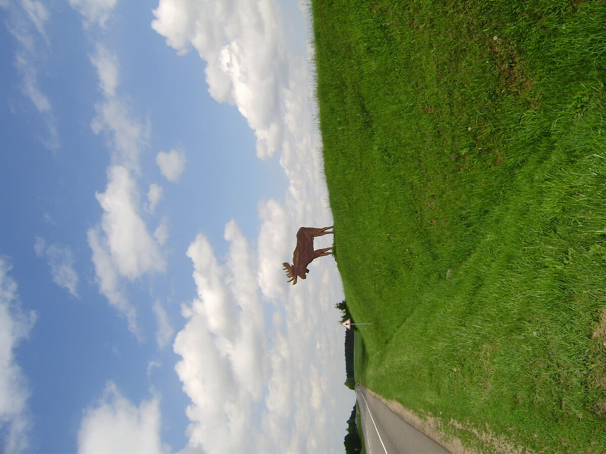P4210325.JPG