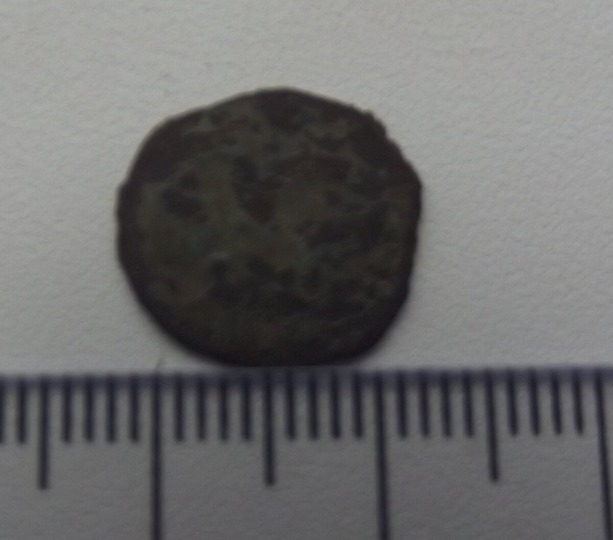 DSCF4898.JPG