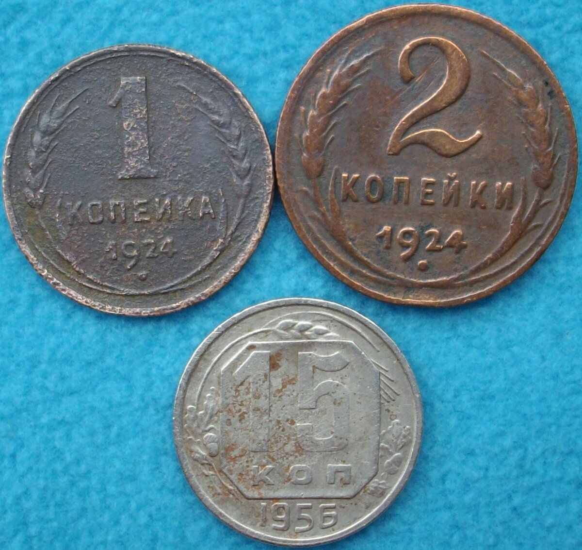 IMGP1769.JPG