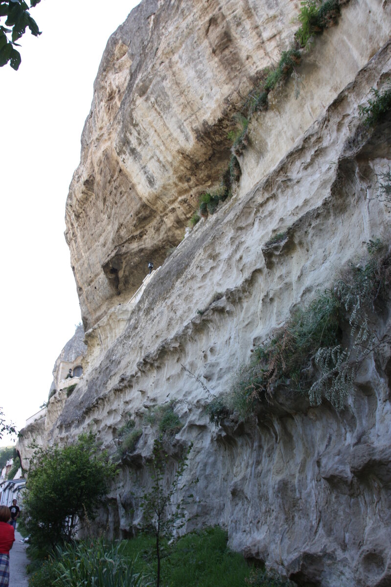 IMG_6966.JPG