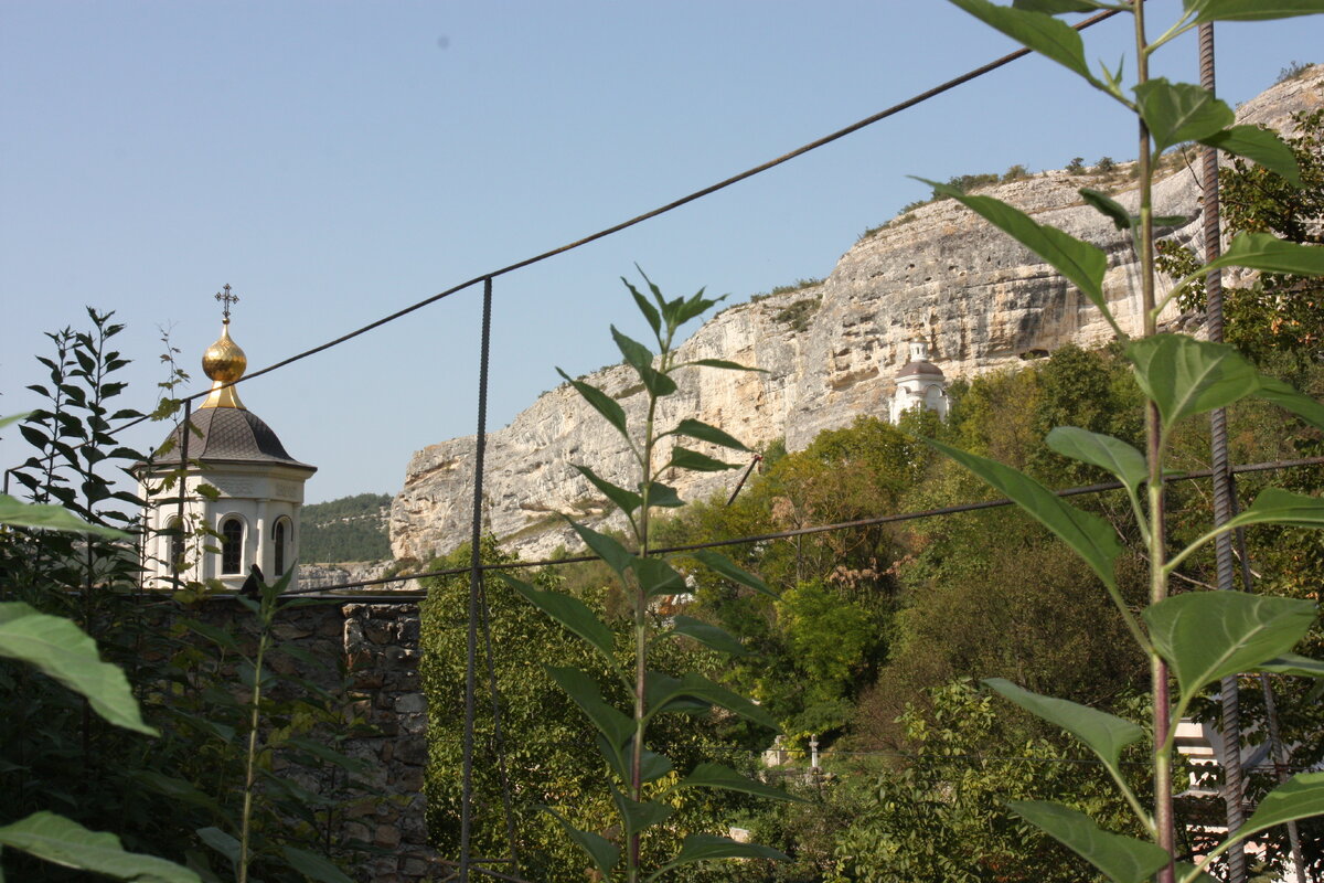 IMG_6987.JPG