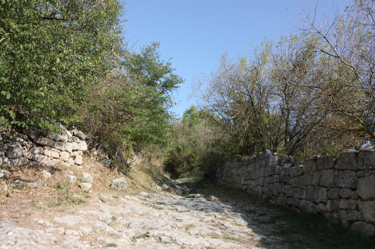 IMG_7035.JPG