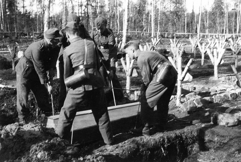 норд.1.jpg