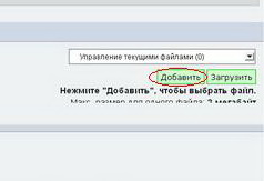 kadr_18.jpg