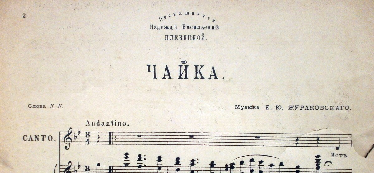 P1013166.JPG