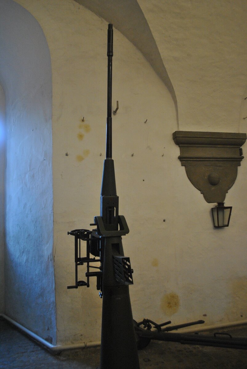 DSC_1173.JPG