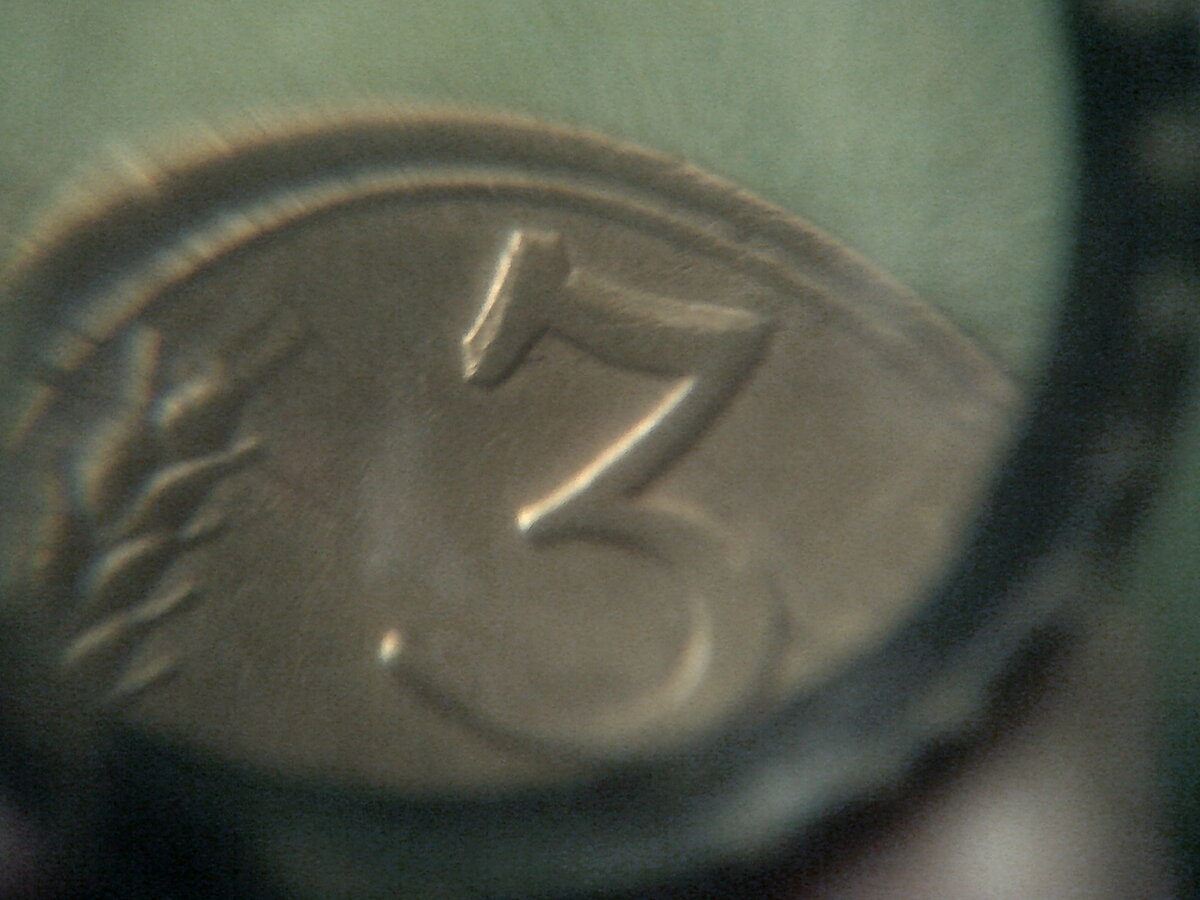 DSCF0223.JPG