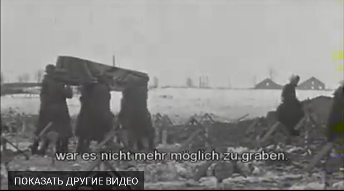 шев..JPG