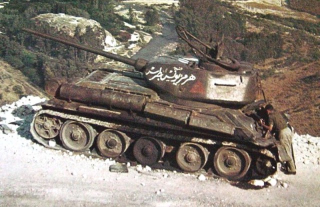8643442.jpg