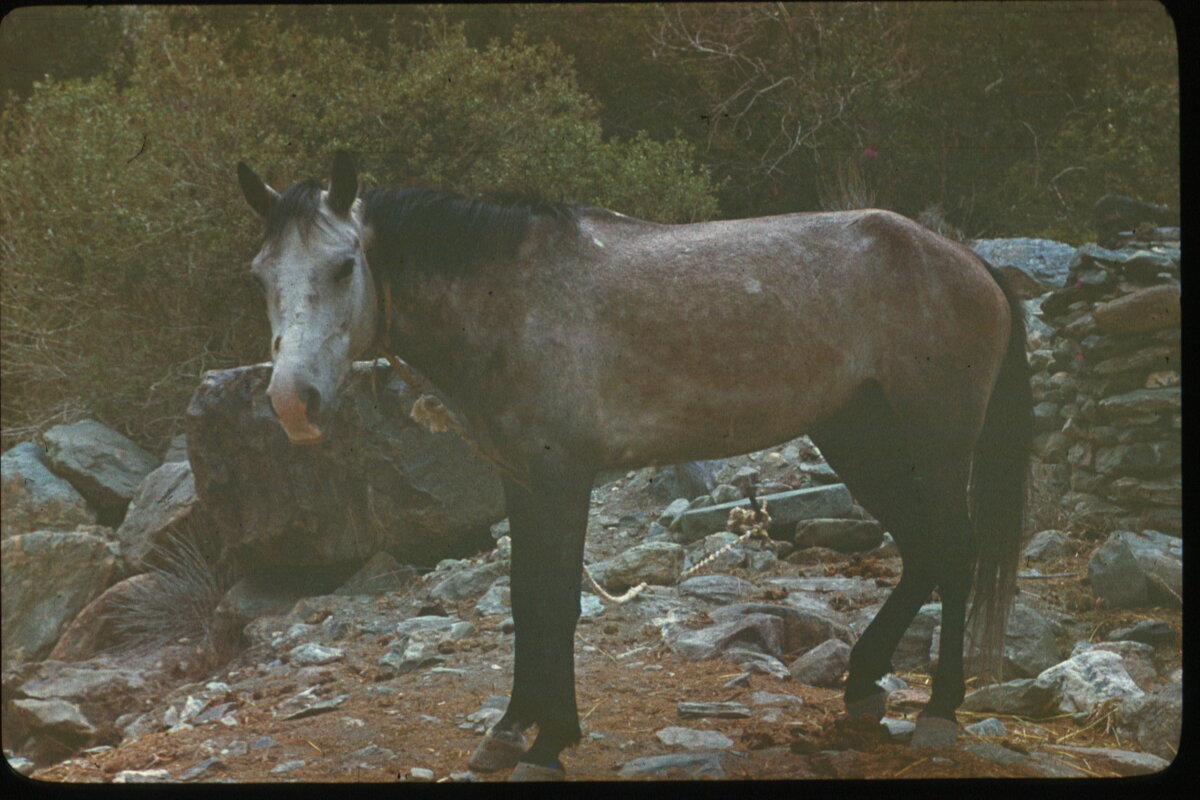 Image0113.jpg
