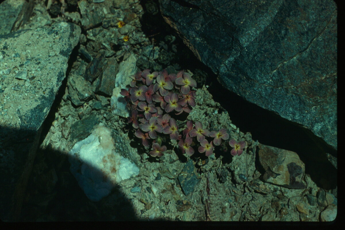 Image0132.jpg