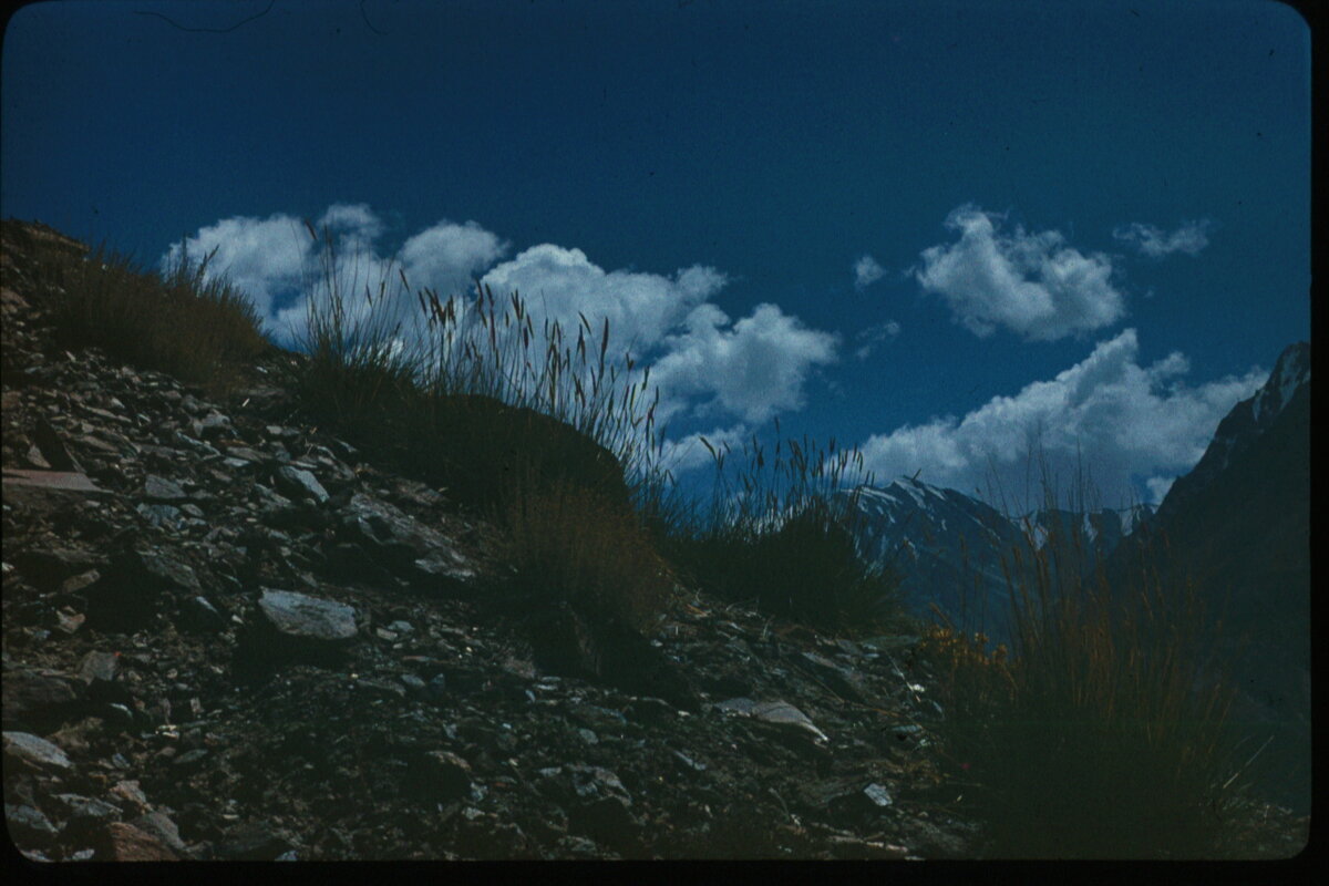 Image0137.jpg