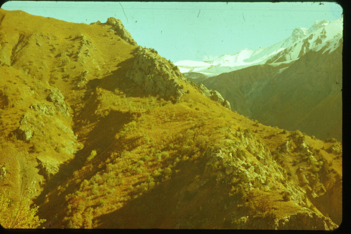 Image0159.jpg