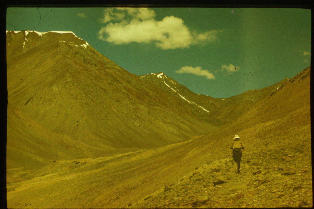 Image0179.jpg