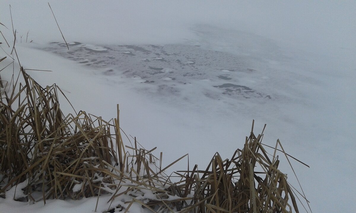 20180211_114905.jpg