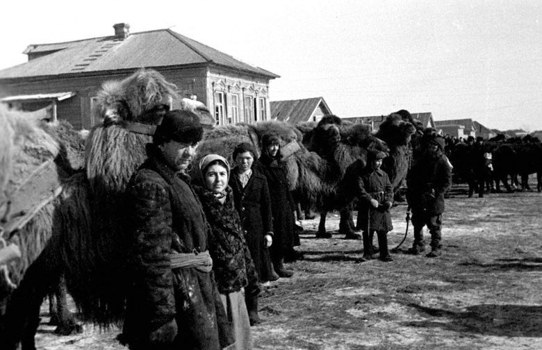0_Подготовка тягловой силы к вес севу в к-х им.Горького.jpg